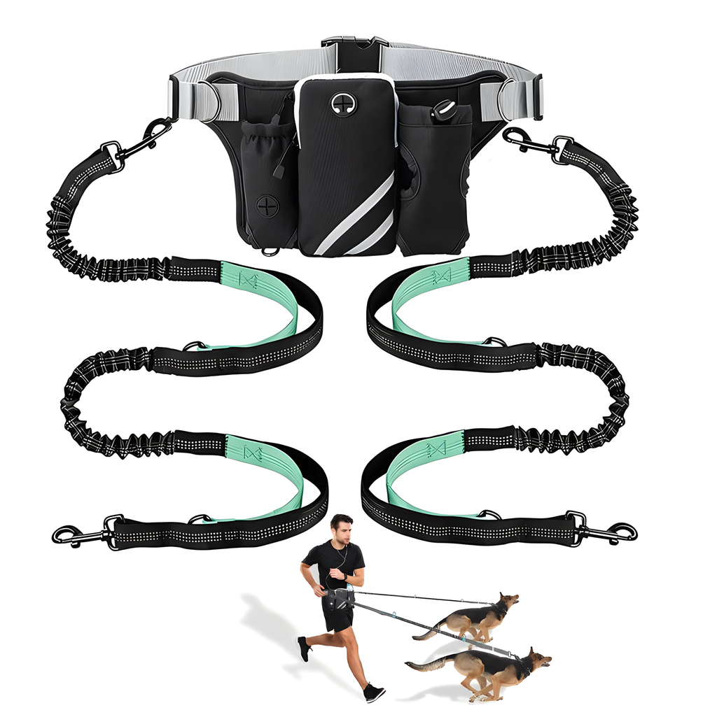 Hands-Free Dog Walking Waist Pack or Bungee Lead
