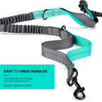 Hands-Free Dog Walking Waist Pack or Bungee Lead